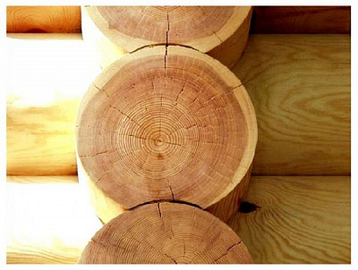 Ґрунтовка Bionic House антисептик з вмістом олії мат 1 л