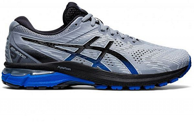 Кросівки Asics GT-2000 8 1011A690-024 р.US 13 сірий