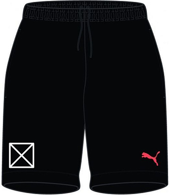 Шорты Puma individualRISE Shorts 65753843 р. M черный