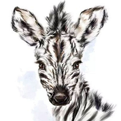 Набір для творчості зі стразами на підрамнику Зебреня 30x30 см 189236 Діамантові ручки