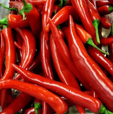 Семена Професійне насіння перец острый Ангарика F1 10 шт. (4823058206127)