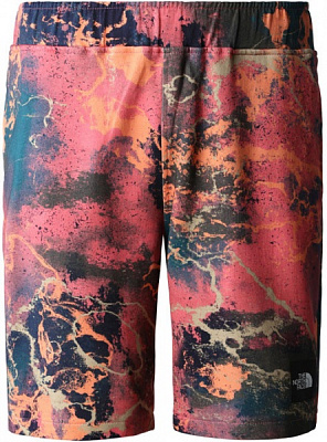 Шорти THE NORTH FACE M SUMMER LOGO SHORT NF0A8237IOC1 р. L різнокольоровий