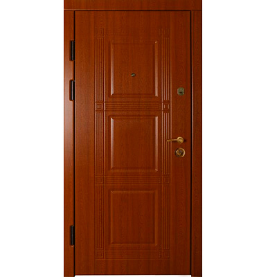 Двері вхідні №9 2030х880 мм дуб золотий ліві