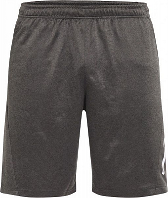 Шорти Energetics Moro ux 294835-31 р. M сірий