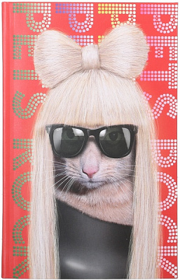 Блокнот Pets Rock 80 листов Гага