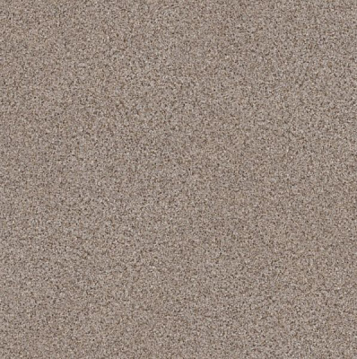 Лінолеум Perfect Grenada 5 King Floor 3 м