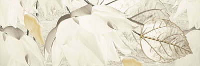 Плитка Ceramika Paradyz MAGNOLIA GRYS INSERTO C 25х75