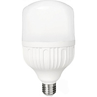 Лампа світлодіодна Hopfen 30 Вт T100 матова E27 220 В 4200 К 
