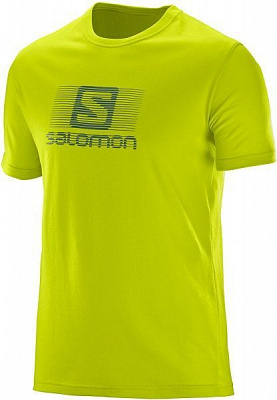 Футболка Salomon BLEND LOGO L39374000 S лайм