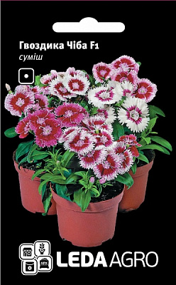 Насіння LedaAgro гвоздика китайська Чіба F1 суміш 10 шт. (4820119794081)