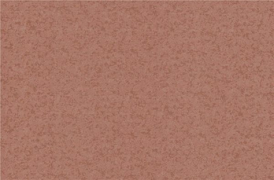 Шпалери зі спіненого вінілу Bravo тип 538 84005BR83 1,06x10,05 м