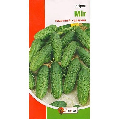 Насіння Яскрава огірок однорічний 1г