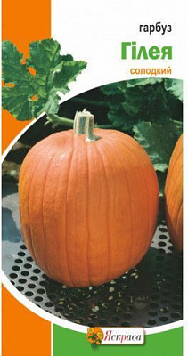 Семена Яскрава тыква Гилея 3г