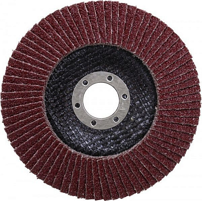 Круг пелюстковий Expert тип 29 125 мм P40