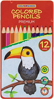Карандаши цветные 12 цветов трехгранные Premium CF15178