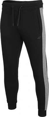 Брюки 4F D4Z20-SPMD306-20S р. L черный