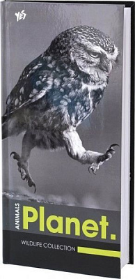 Блокнот для записей Owl 96 листов 151032 YES