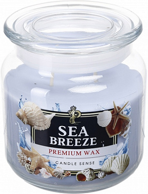 Свеча ароматическая Pako-If Sea Breeze 350 г 