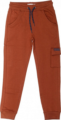 Брюки спортивные NWM для мальчиков р.122 коричневый U44167-1 