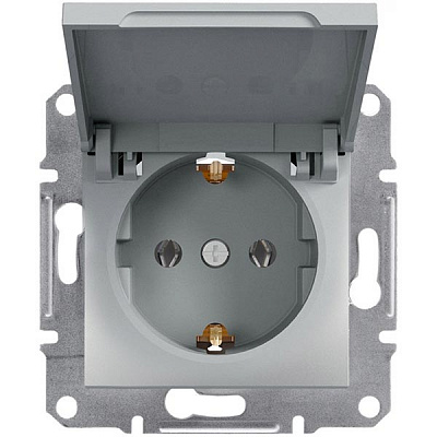 Розетка із заземленням Schneider Electric Asfora 16 А 250 В з кришкою алюміній EPH3100161