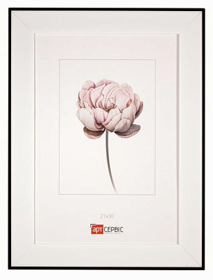 Арт-Сервіс ЭА-01776 21х30 см белый/белый с черным 