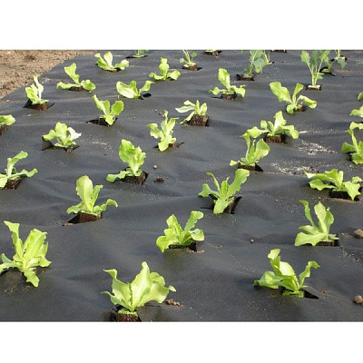 Агроволокно Texton 50 UV чорне 3.2 м