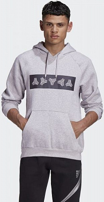 Джемпер Adidas TAN SW HOODY GE5146 р. S