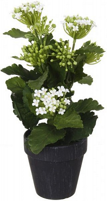 Рослина штучна Каланхое 23х39 см у чорному вазоні