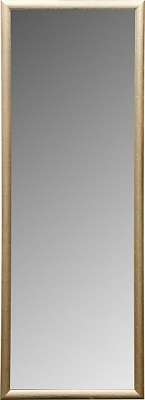 Зеркало ЭЗ-00272 45х125 см 