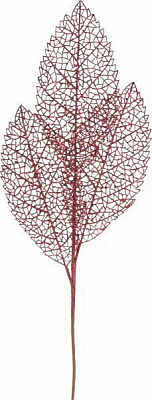 Гілочка декоративна бордова 79 см