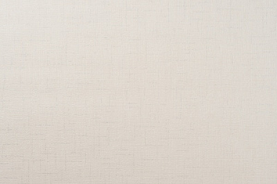 Шпалери вінілові на паперовій основі Vinil Захоплення ВКС 5-1335 0,53x10,05 м