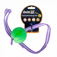 Іграшка для собак AnimAll Fun Тренінг м'яч зі шлейкою 6 см зелений