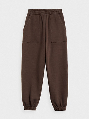 Штани 4F TROUSERS CAS F261 4FAW22TTROF261-80S р. XL коричневий