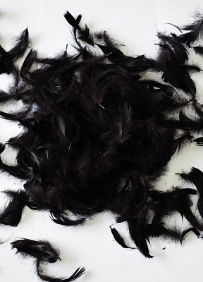 Наповнювач Пір'я 5896