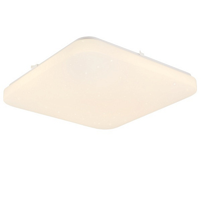 Світильник настінно-стельовий Luna Forest/PL450 76 Вт білий 3000-6000 К