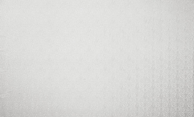 Шпалери вінілові на флізеліновій основі Bravo SIMPLE SP503-00 1,06x10,05 м