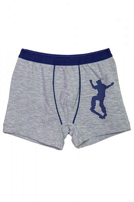 Трусы для мальчика KOSTA 0363-4 р.122-128 серый 