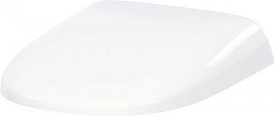 Сиденье для унитаза AM.PM Sensation C307851WH