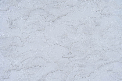 Обои виниловые на бумажной основе Славянские обои Expromt Бонсай 2 9118-10 1,06x10,05 м