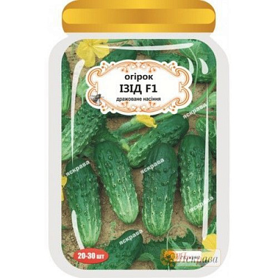 Семена Яскрава огурец Изид F1 20 шт. (4823069908676)