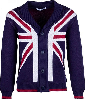 Кардиган Flash для мальчиков р.140 синий/бордовый/белый 18B080-5-1111_821/5/2 