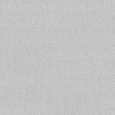 Обои из вспененного винила Vinil Экхард ДХН-1367/5 1,06x10,05 м 