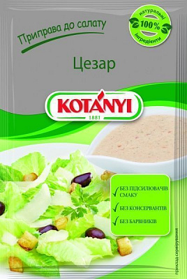 Приправа TM KOTANYI к салату Цезарь