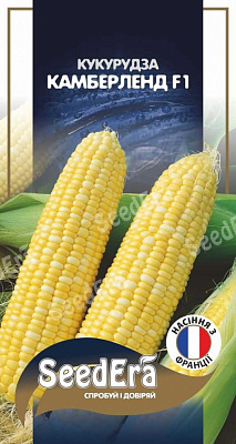 Насіння SeedEra кукурудза Камберленд F1 20 шт. (4823114403002)