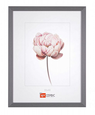 Рамка для фото Арт-Сервіс ЭА-01652 21х30 см графіт