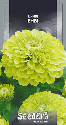 Семена Seedera Цветы Циния Енви 0.5 г