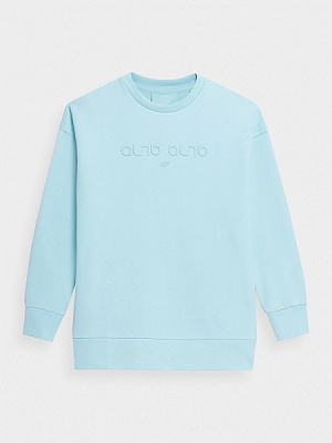 Свитшот 4F AL*4F_SWEATSHIRT 4FSS22TSWSF114-34S р. L голубой