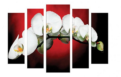 Картина модульная Цветы C-22 118x80 см 