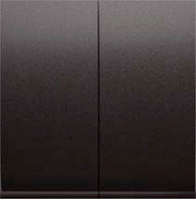 Клавіша вимикача двоклавішний Simon 54 без підсвітки 10 А 250В графіт DKW5/48