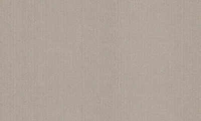 Обои виниловые на флизелиновой основе Status 402ST04 1,06x10,05 м 